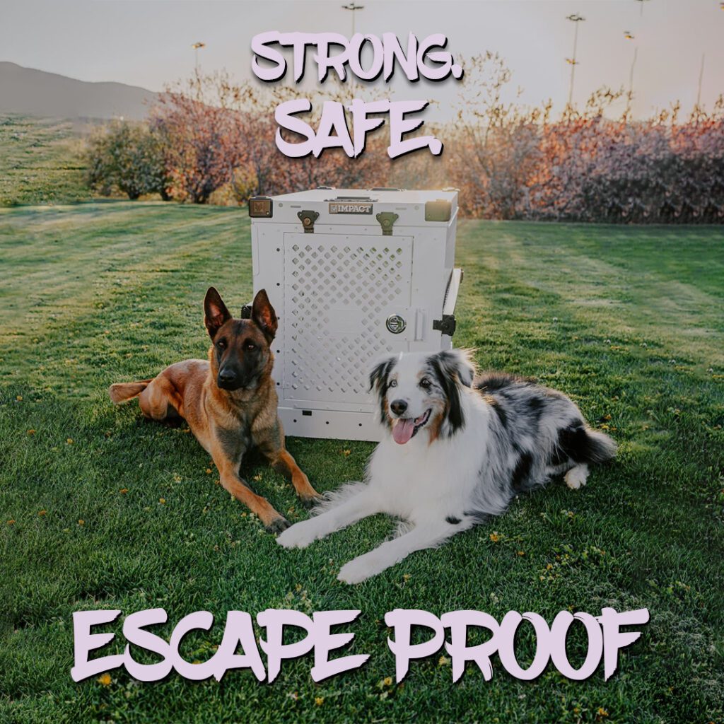 Home 3 impact dog crates review